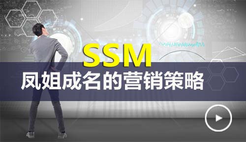 SMM-凤姐的成名营销方略